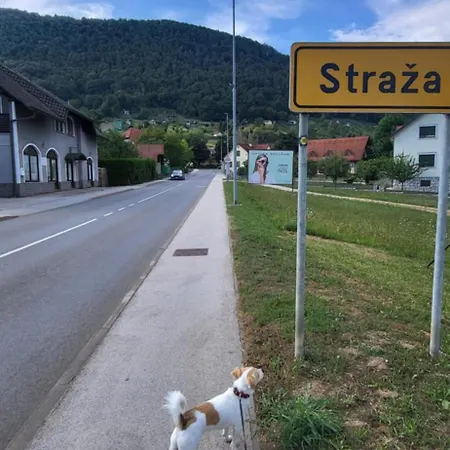 Apartma Ob Krki Appartamento *