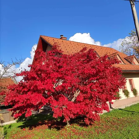 Apartment Apartma Ob Krki