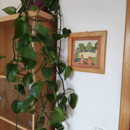 Apartma Ob Krki Апартаменты *