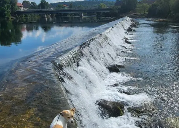 Apartma Ob Krki Straza