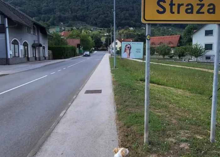 Apartma Ob Krki Appartamento *