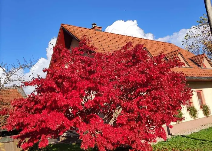 Appartamento Apartma Ob Krki