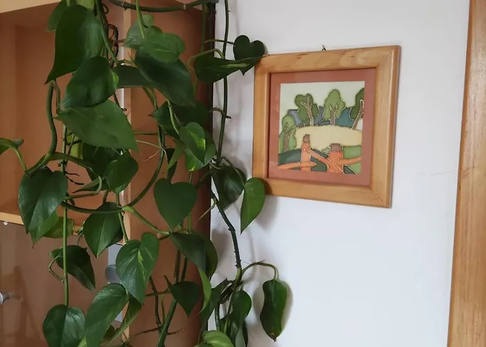 Apartma Ob Krki Appartamento *