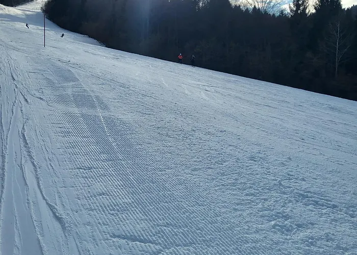 Apartma Ob Krki Straza